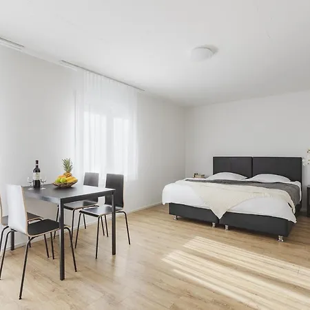 Apartment Swiss Star Wiedikon - Self Check-in *