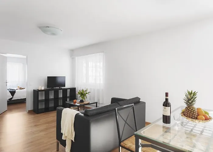 Appartement Swiss Star Wiedikon - Self Check-in