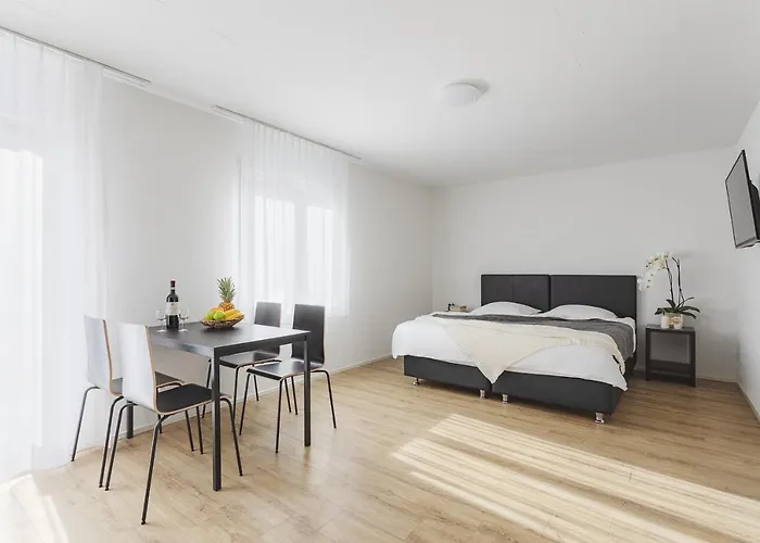 Apartman Swiss Star Wiedikon - Self Check-in *